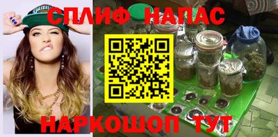 прущие грибы Гусь-Хрустальный