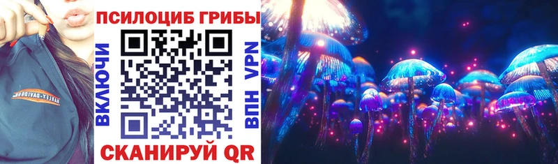 где купить   Ржев  Галлюциногенные грибы Cubensis 