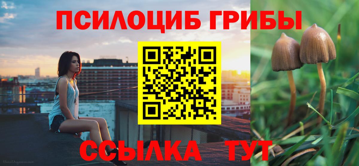 Псилоцибиновые грибы ЛСД  Вход с VPN  хочу   Ржев 